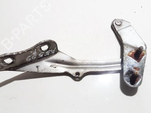 hingedoor-check-strap-ford-focus-ii-da_-hcp-dp-2004-2005-2006-2007-2008-2009-2010-2011-2012-2013-35640384 main image
