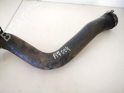 Pipe RENAULT SCÉNIC II (JM0/1_) 1.5 dCi (JM0F) | BP32883622M125 - Image 3
