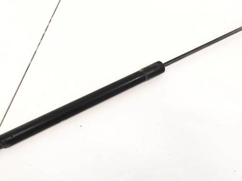 tailgate-lift-support-citroen-c5-iii-rd_-2008-2009-2010-2011-2012-2013-2014-2015-2016-2017-35323902 main image