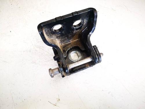 hingedoor-check-strap-citroen-c3-ii-sc_-2009-32570848 main image