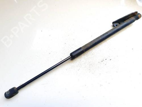 tailgate-lift-support-suzuki-sx4-ey-gy-2006-35134239 main image