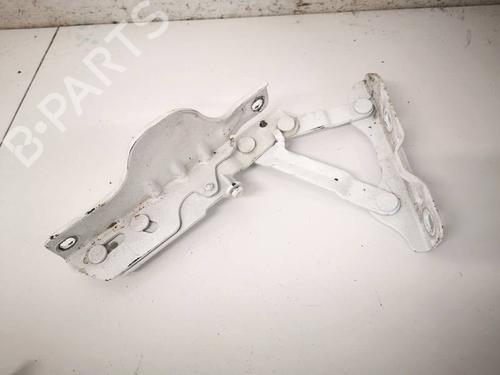Hinge/Door check strap TESLA MODEL S (5YJS) P90D AWD | BP38577130C146 - Image 2