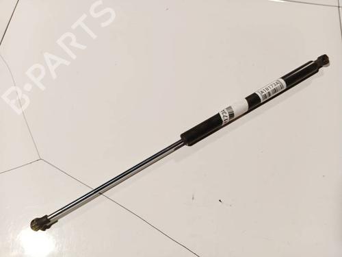tailgate-lift-support-renault-laguna-ii-bg01_-2001-2002-2003-2004-2005-2006-2007-34941134 main image