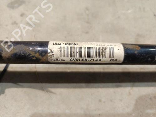 Anti roll bar FORD FOCUS III 1.6 TDCi | BP34903184M96 - Image 5