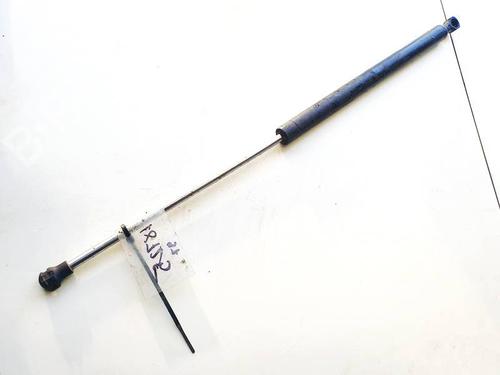 tailgate-lift-support-renault-laguna-ii-bg01_-2001-2002-2003-2004-2005-2006-2007-35331008 main image