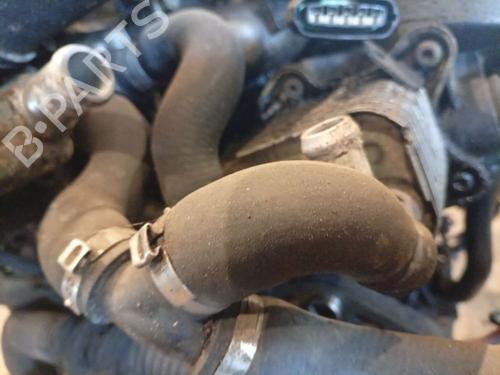 Pipe OPEL ASTRA H (A04) 1.7 CDTI (L48) | BP38006534M125 - Image 3