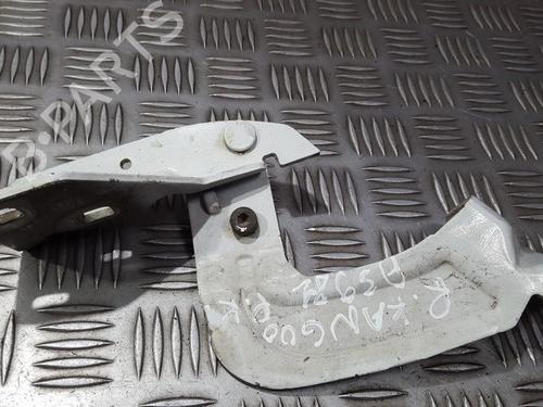hingedoor-check-strap-renault-kangoo-kc01_-1997-35695781 main image