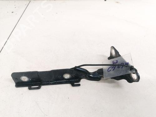 hingedoor-check-strap-citroen-c5-iii-rd_-2008-2009-2010-2011-2012-2013-2014-2015-2016-2017-35548115 main image