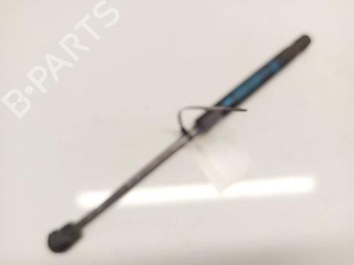 tailgate-lift-support-peugeot-407-6d_-2004-2005-2006-2007-2008-2009-2010-2011-34794929 main image