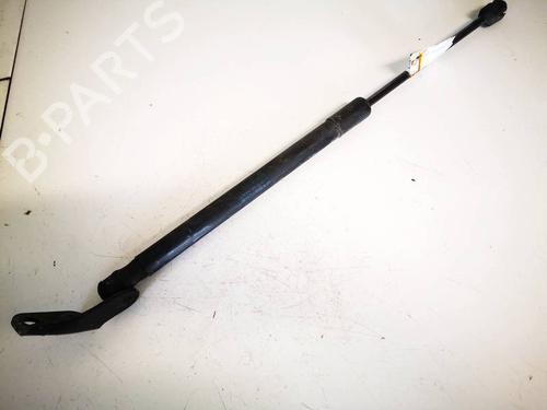 tailgate-lift-support-suzuki-swift-iii-mz-ez-2005-35010213 main image
