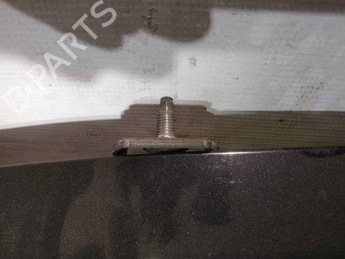 hingedoor-check-strap-ford-fiesta-vi-cb1-ccn-2008-34947628 main image
