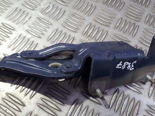 hingedoor-check-strap-renault-scenic-ii-jm01_-2003-2004-2005-2006-2007-2008-2009-2010-35682222 main image