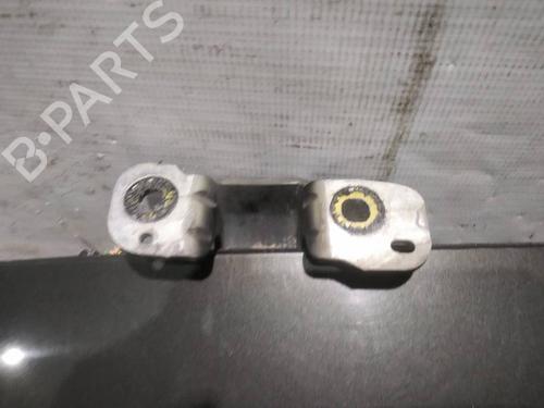 hingedoor-check-strap-citroen-c5-iii-rd_-2008-2009-2010-2011-2012-2013-2014-2015-2016-2017-39483973 main image