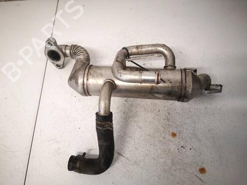 Used Egr Egr 38791149 38791149