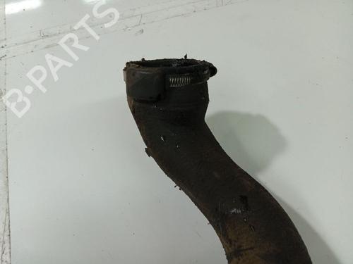 Pipe CITROËN C5 III (RD_) 2.0 HDi (RDRHD8, RDRHDJ, RDRHR8, RDRHRJ) | BP32531042M125