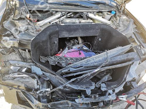 Hinge/Door check strap TESLA MODEL S (5YJS) 85D AWD | BP32618746C146