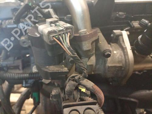 Used Egr Egr 37864468 37864468