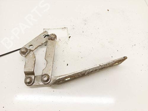 Used Hinge/Door check strap Hinge/Door check strap 38631253 38631253