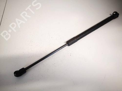 gasdmper-bagklap-chevrolet-captiva-c100-c140-2006-34911066 main image