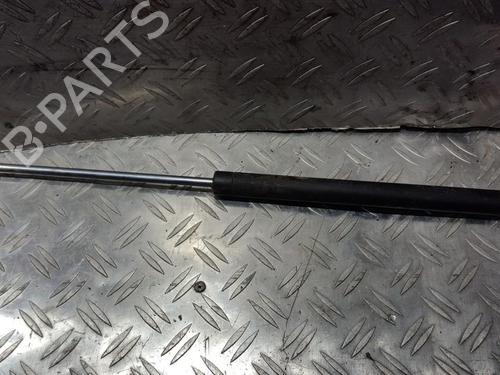tailgate-lift-support-renault-laguna-ii-bg01_-2001-2002-2003-2004-2005-2006-2007-35656254 main image