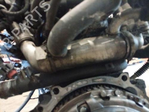 Egr Egr 37253973 37253973
