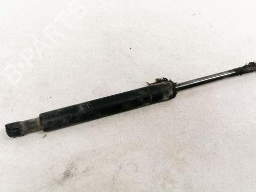 tailgate-lift-support-ford-focus-i-daw-dbw-1998-1999-2000-2001-2002-2003-2004-2005-2006-2007-2008-2009-35579539 main image
