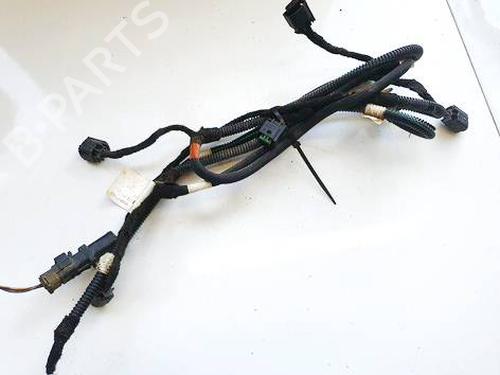 Ledningsnet Ledningsnet CITROËN C4 Picasso I MPV (UD_) 2.0 HDi 138 (136 hp) 36687329 36687329