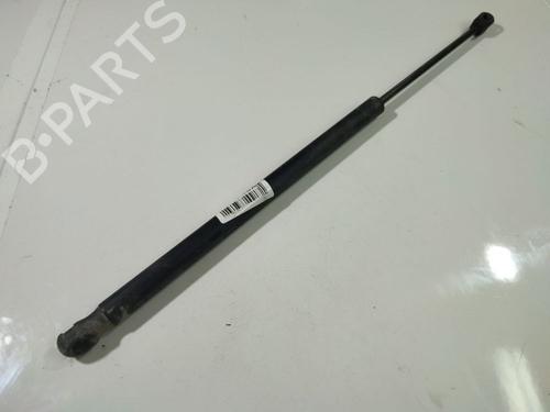 tailgate-lift-support-renault-scenic-ii-jm01_-2003-2004-2005-2006-2007-2008-2009-2010-34810247 main image
