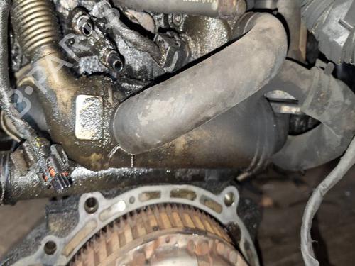 Used Egr Egr 38766534 38766534