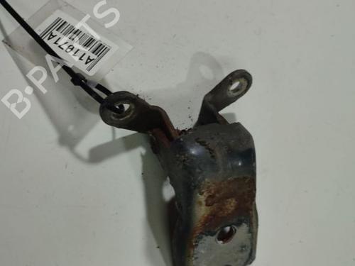 hingedoor-check-strap-chevrolet-captiva-c100-c140-2006-32537365 main image