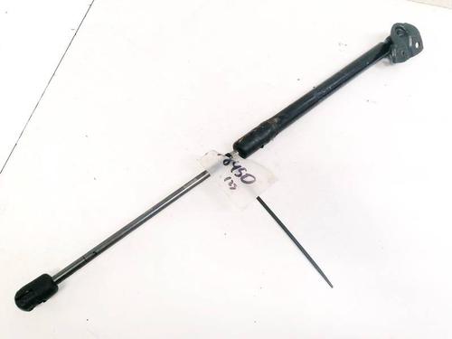 tailgate-lift-support-renault-megane-iii-hatchback-bz01_-b3_-2008-35359358 main image
