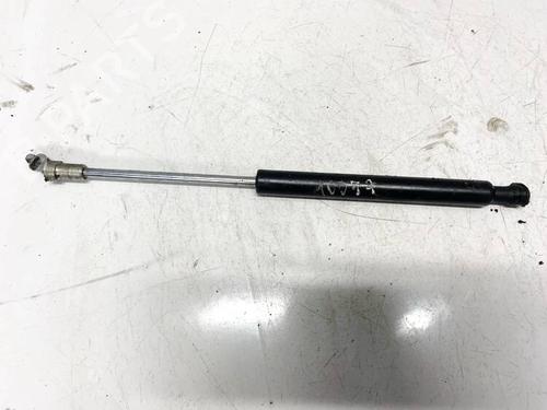 tailgate-lift-support-citroen-c5-iii-rd_-2008-2009-2010-2011-2012-2013-2014-2015-2016-2017-35069270 main image