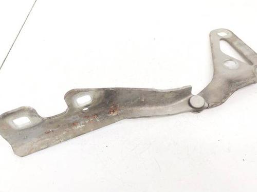 Used Hinge/Door check strap Hinge/Door check strap OPEL ASTRA H (A04) 1.7 CDTI (L48) (100 hp) 35246656 35246656