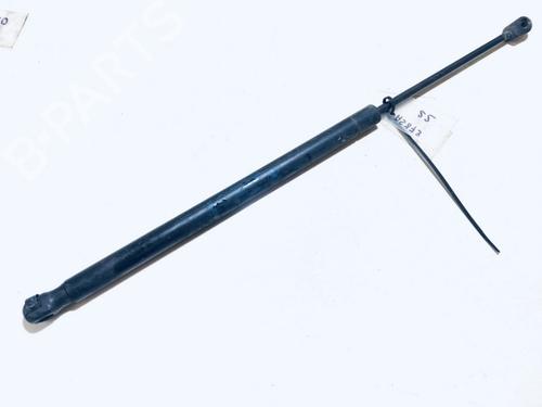 tailgate-lift-support-renault-scenic-ii-jm01_-2003-2004-2005-2006-2007-2008-2009-2010-35883773 main image