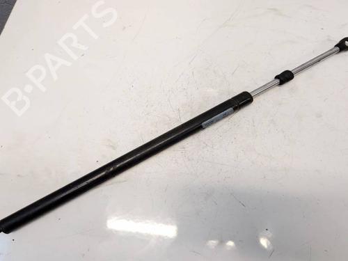Used Tailgate lift support Tailgate lift support CHRYSLER PT CRUISER (PT_) 2.2 CRD (121 hp) 36517730 36517730