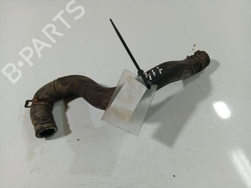 Pipe NISSAN PRIMERA Hatchback (P12) 1.9 dCi | BP38259421M125 - Image 4