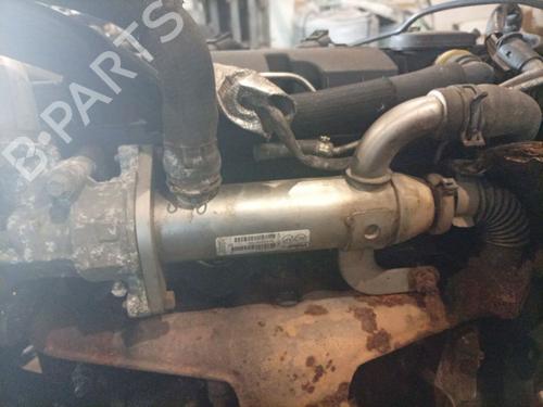 Used Egr Egr 39232201 39232201