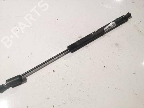 tailgate-lift-support-renault-laguna-iii-bt01-2007-2008-2009-2010-2011-2012-2013-2014-2015-34767513 main image