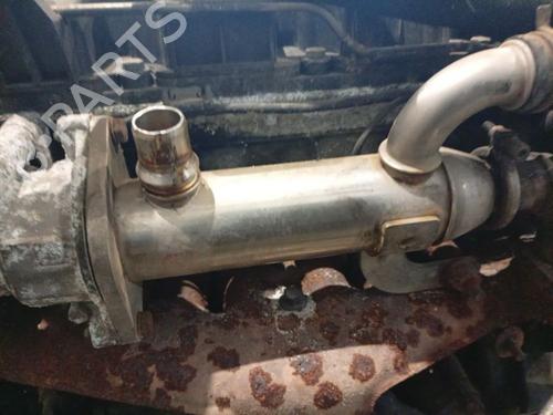 Egr Egr 38298648 38298648
