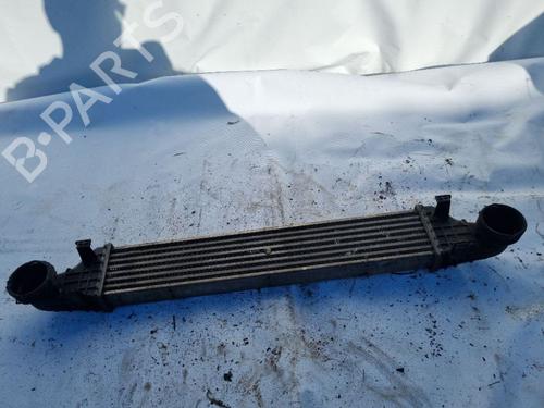 Used Intercooler Intercooler MERCEDES-BENZ E-CLASS (W211) E 200 CDI (211.004) (102 hp) 34983111 34983111