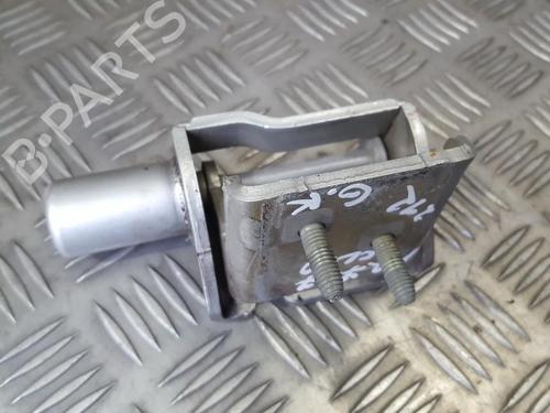 hingedoor-check-strap-renault-clio-iii-br01-cr01-2005-2006-2007-2008-2009-2010-2011-2012-2013-2014-33493377 main image