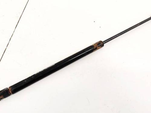 tailgate-lift-support-opel-signum-hatchback-z03-2003-2004-2005-2006-2007-2008-35295154 main image