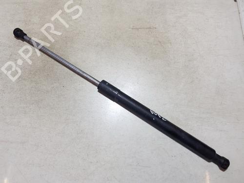 tailgate-lift-support-renault-clio-iii-br01-cr01-2005-2006-2007-2008-2009-2010-2011-2012-2013-2014-35631351 main image