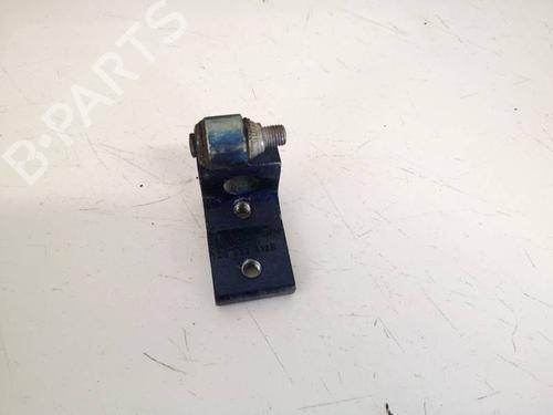 hingedoor-check-strap-skoda-octavia-ii-1z3-2004-2005-2006-2007-2008-2009-2010-2011-2012-2013-32586238 main image