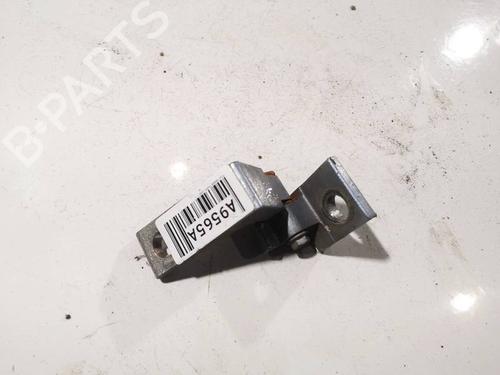 hingedoor-check-strap-fiat-grande-punto-199_-2005-34203934 main image