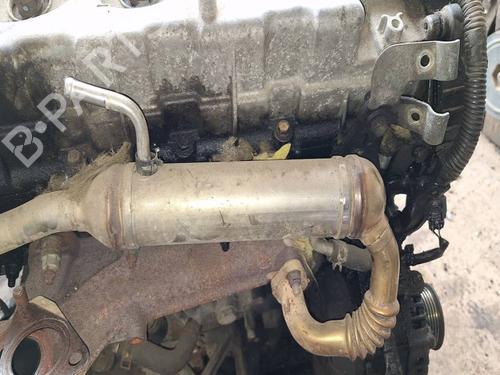 Used Egr Egr 36689789 36689789