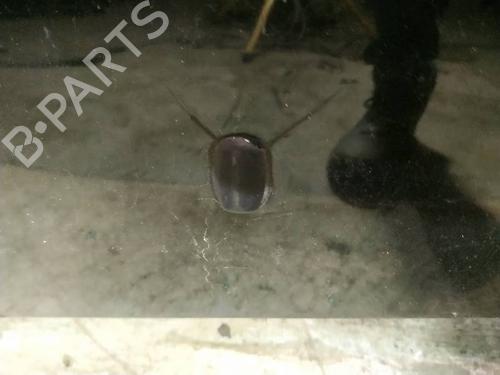 washer-pump-mini-mini-r50-r53-2001-2002-2003-2004-2005-2006-34875698 main image
