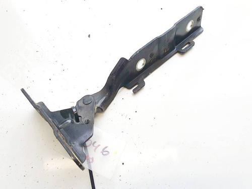 Used Hinge/Door check strap Hinge/Door check strap CITROËN C5 III (RD_) 3.0 V6 (RDXFVJ) (211 hp) 35295244 35295244