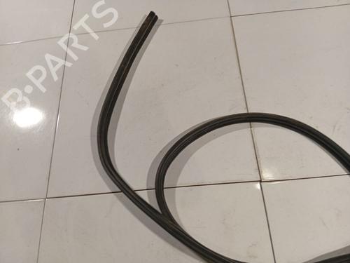 Gummiliste FORD FOCUS C-MAX (DM2) 1.6 TDCi | BP38974296C142 - Image 3