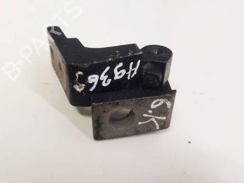 Hinge/Door check strap AUDI A8 D3 (4E2, 4E8) 4.2 quattro | BP32615431C146